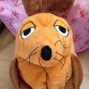 ともニャン