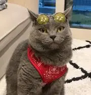 モンレオ