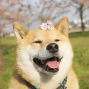 B2の画像