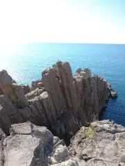 でんの画像