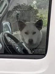たまちゃんの画像