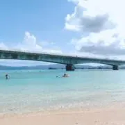 ミミ