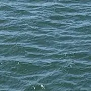 64