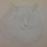 Lolibbaの画像