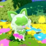 Rの画像
