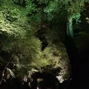 ぎん
