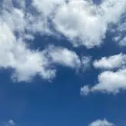 taoの画像