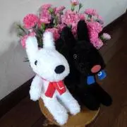 キャンディーの画像