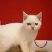 みさぽんプロフィール確認してね★の画像
