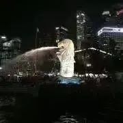 マイドの画像