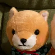 あっぷらんの画像