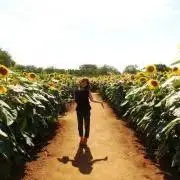 hanaの画像