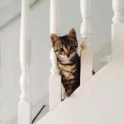 えみえみ