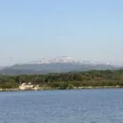 らりごの画像