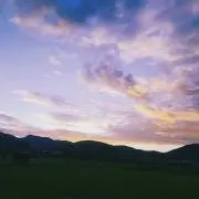 あるちの画像