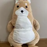 いくらの画像