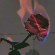 xxxpgmjの画像