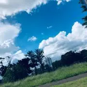 アイルーの画像