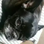 はな