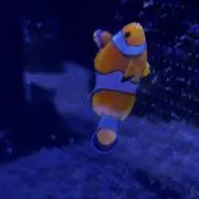 はぶの画像