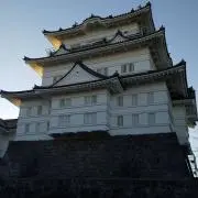 29umaの画像