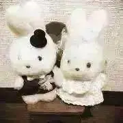 usagi_mama♪の画像