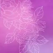 m fの画像