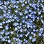 なな｜交渉/即購入◎の画像