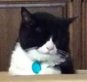 ぴち