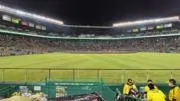 メル40457 虎とライター
