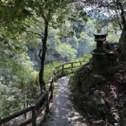 makotoの画像