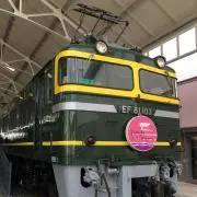 きくりん