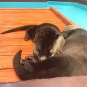 もなか