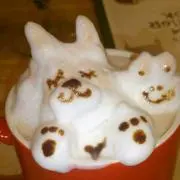 ちゃきの画像