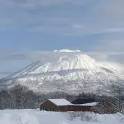 本革 レザーソロシート ダークブラウン 編み込み - メルカリ