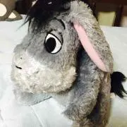たまこ