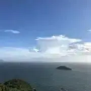 トマトたーんの画像