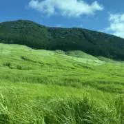 Piの画像