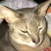 ここの画像
