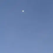 guraの画像
