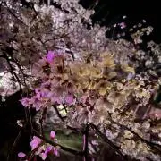 kenの画像