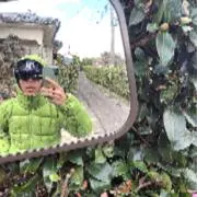 ドット君