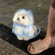 ぬの画像