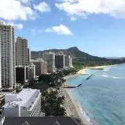 ALOALOの画像