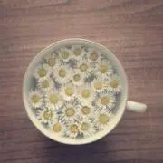 あさあさの画像