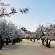 TITIの画像