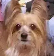 いーさん ※プロフ必読※の画像