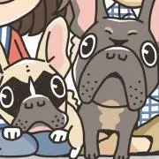 ディマひな
