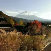 ともの画像