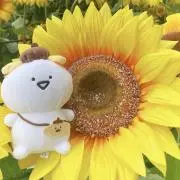 なのの画像